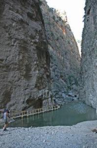 υάκινθος 3*